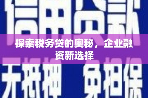 任城探索税务贷的奥秘，企业融资新选择