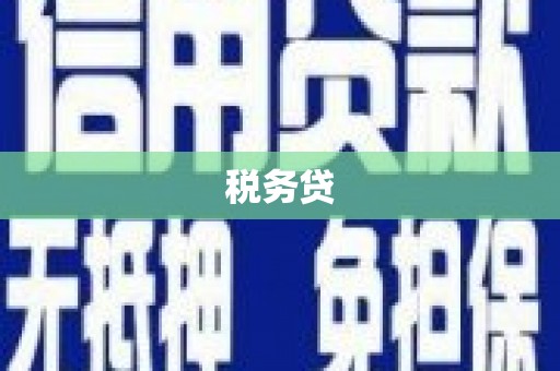 任城税务贷