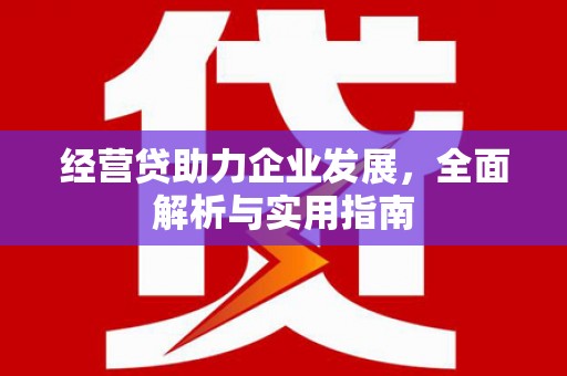任城经营贷助力企业发展，全面解析与实用指南
