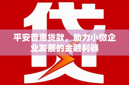 任城平安普惠贷款，助力小微企业发展的金融利器