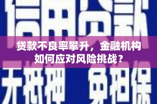 任城贷款不良率攀升，金融机构如何应对风险挑战？