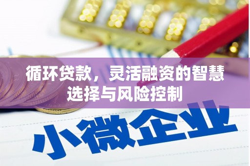 任城循环贷款，灵活融资的智慧选择与风险控制