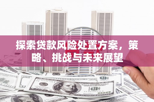 任城探索贷款风险处置方案，策略、挑战与未来展望