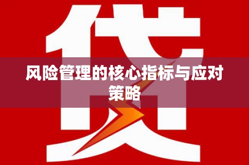 任城风险管理的核心指标与应对策略