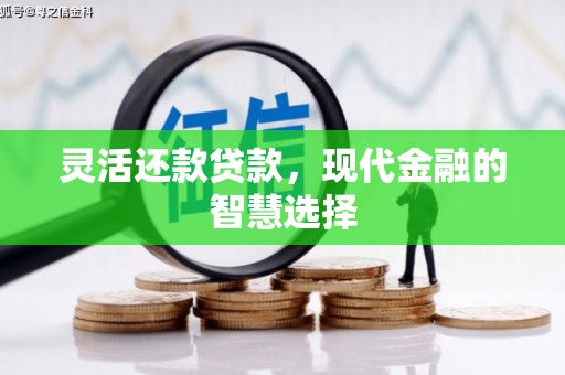 任城灵活还款贷款，现代金融的智慧选择