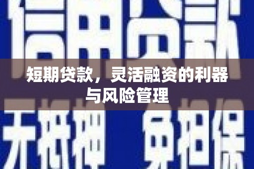 任城短期贷款，灵活融资的利器与风险管理