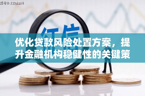 任城优化贷款风险处置方案，提升金融机构稳健性的关键策略