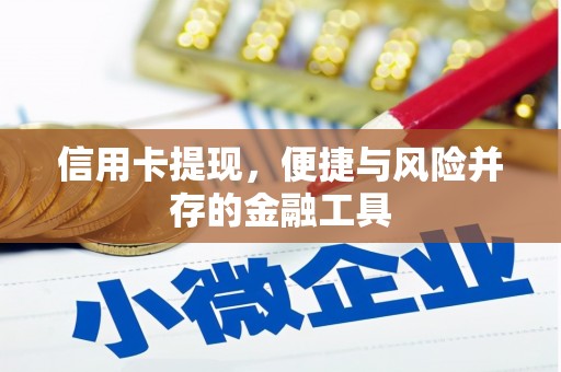 任城信用卡提现，便捷与风险并存的金融工具