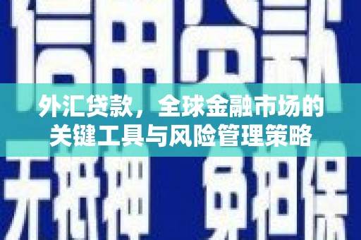 任城外汇贷款，全球金融市场的关键工具与风险管理策略