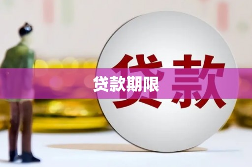 任城贷款期限