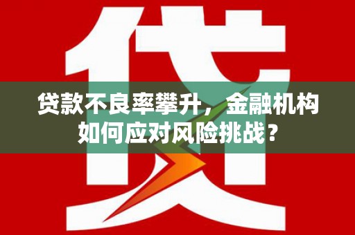 任城贷款不良率攀升，金融机构如何应对风险挑战？