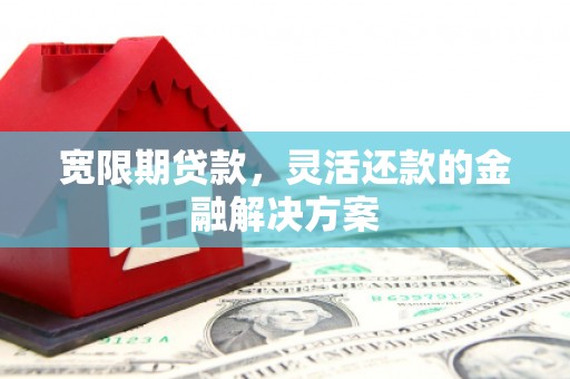 任城宽限期贷款，灵活还款的金融解决方案