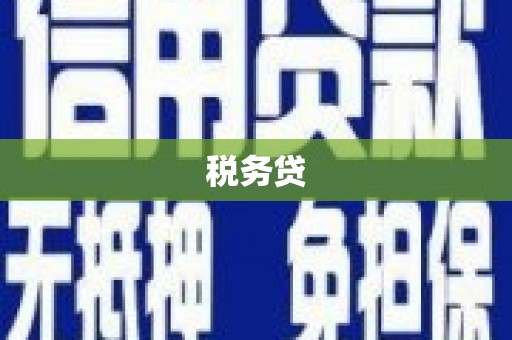 任城税务贷