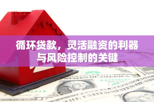任城循环贷款，灵活融资的利器与风险控制的关键