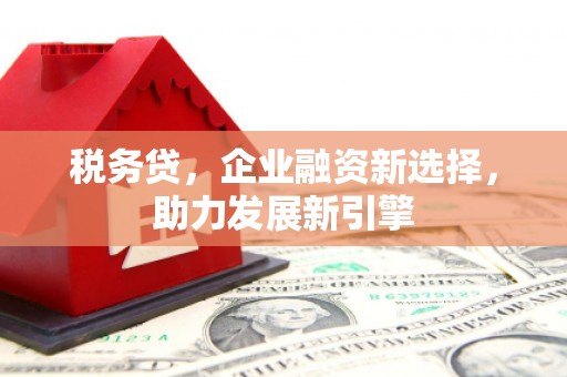 任城税务贷，企业融资新选择，助力发展新引擎
