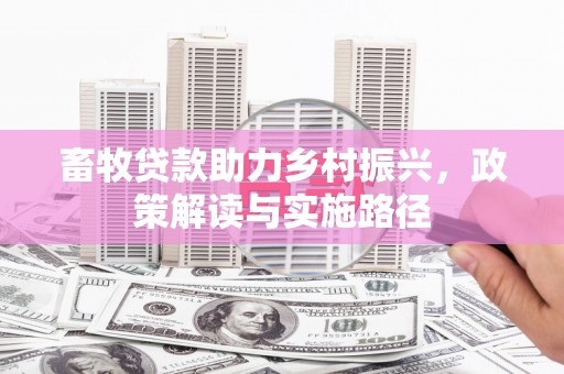 任城畜牧贷款助力乡村振兴，政策解读与实施路径