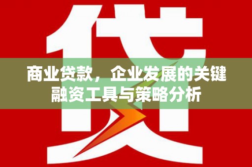 任城商业贷款，企业发展的关键融资工具与策略分析