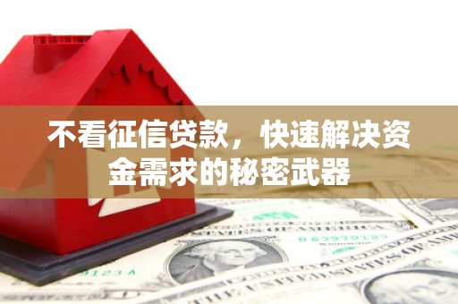 任城不看征信贷款，快速解决资金需求的秘密武器
