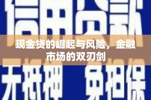 任城现金贷的崛起与风险，金融市场的双刃剑