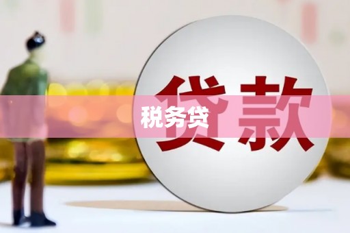 任城税务贷