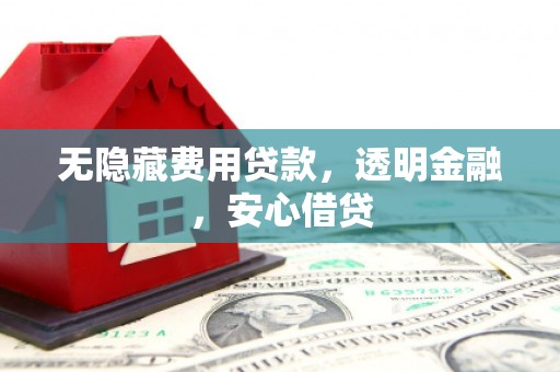 任城无隐藏费用贷款，透明金融，安心借贷