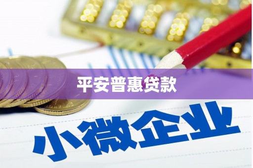 任城平安普惠贷款