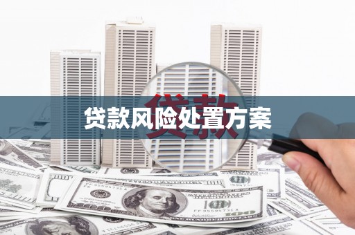 任城贷款风险处置方案