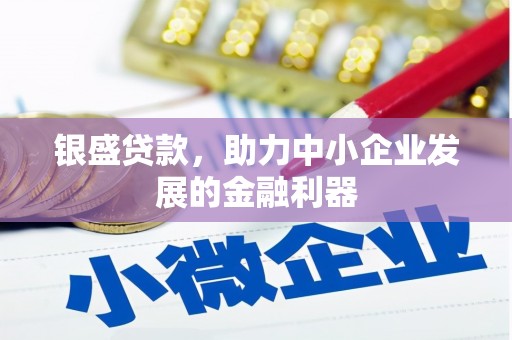 任城银盛贷款，助力中小企业发展的金融利器