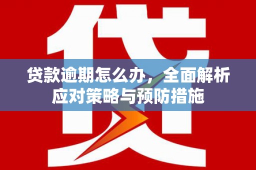 任城贷款逾期怎么办，全面解析应对策略与预防措施