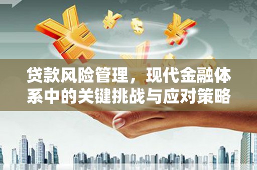 任城贷款风险管理，现代金融体系中的关键挑战与应对策略
