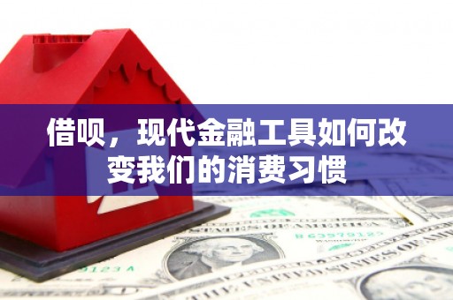 任城借呗，现代金融工具如何改变我们的消费习惯