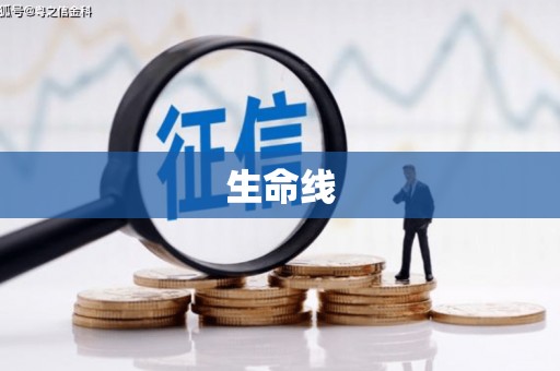 任城生命线