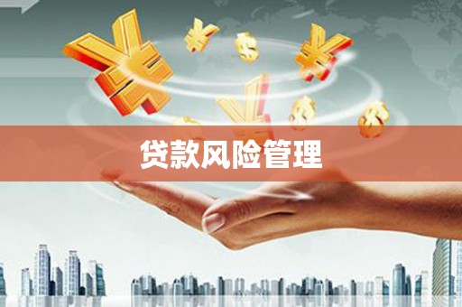 任城贷款风险管理