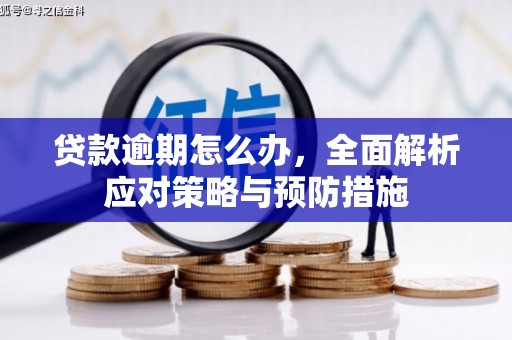 任城贷款逾期怎么办，全面解析应对策略与预防措施
