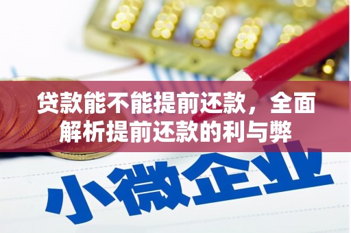 任城贷款能不能提前还款，全面解析提前还款的利与弊