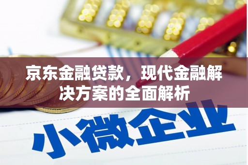 任城京东金融贷款，现代金融解决方案的全面解析