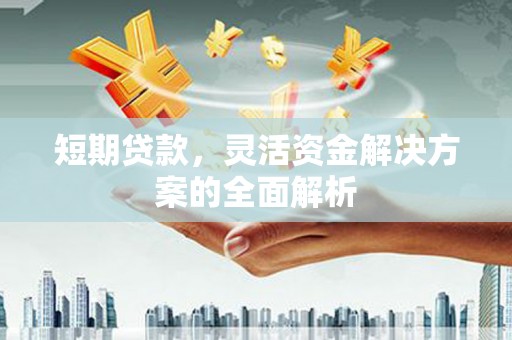 任城短期贷款，灵活资金解决方案的全面解析