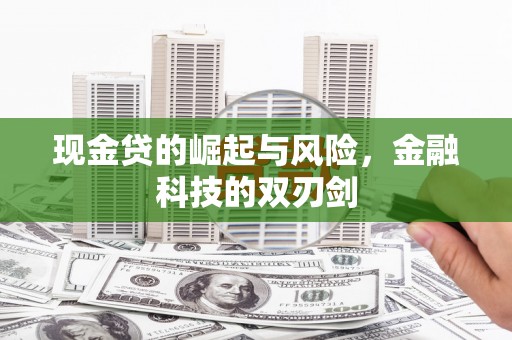 任城现金贷的崛起与风险，金融科技的双刃剑