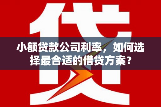 任城小额贷款公司利率，如何选择最合适的借贷方案？