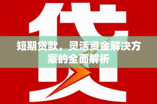 任城短期贷款，灵活资金解决方案的全面解析