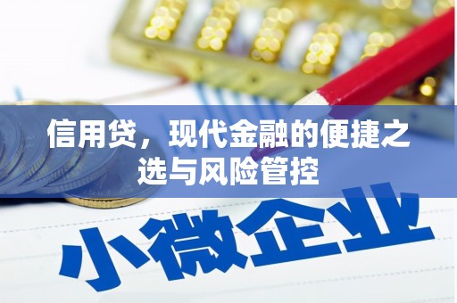 任城信用贷，现代金融的便捷之选与风险管控
