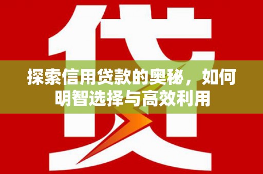 任城探索信用贷款的奥秘，如何明智选择与高效利用