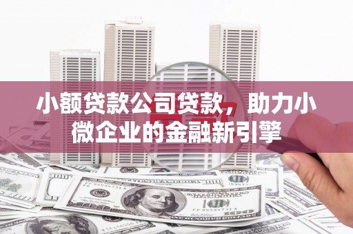 任城小额贷款公司贷款，助力小微企业的金融新引擎