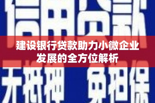 任城建设银行贷款助力小微企业发展的全方位解析