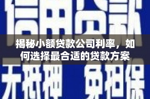 任城揭秘小额贷款公司利率，如何选择最合适的贷款方案