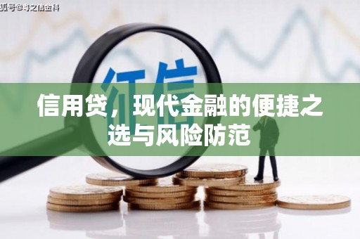 任城信用贷，现代金融的便捷之选与风险防范