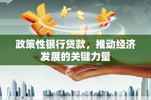 任城政策性银行贷款，推动经济发展的关键力量