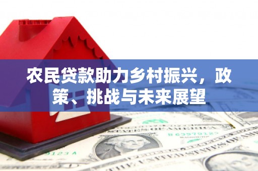 任城农民贷款助力乡村振兴，政策、挑战与未来展望