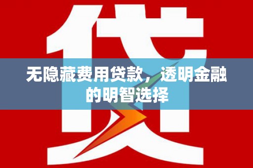 任城无隐藏费用贷款，透明金融的明智选择