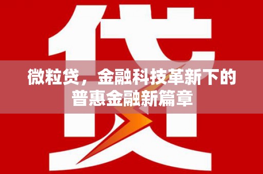 任城微粒贷，金融科技革新下的普惠金融新篇章
